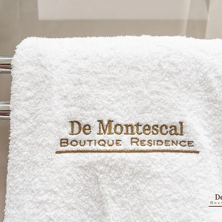 De Montescal Montparnasse Ac In A Prime Location 22 -36m2 Apartment Paris