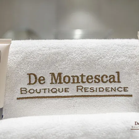 De Montescal Montparnasse Ac In A Prime Location 22 -36m2